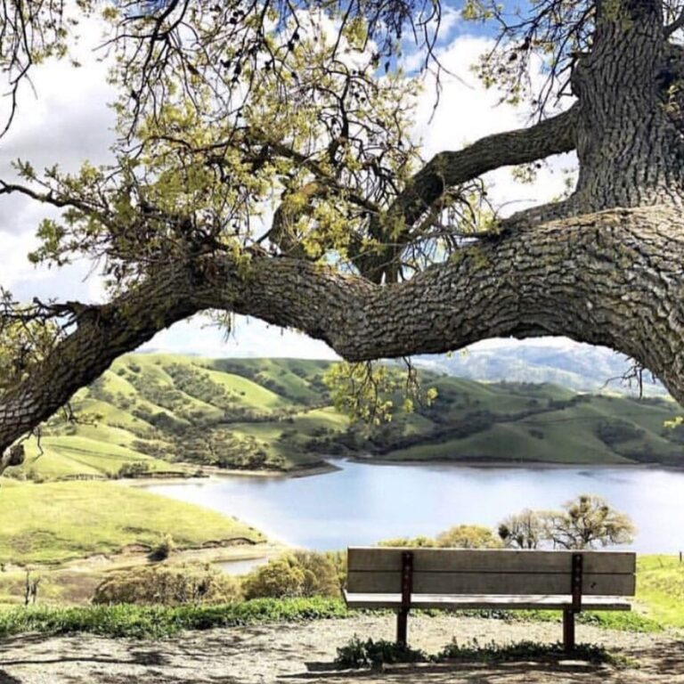OutdoorSpace4.jpg