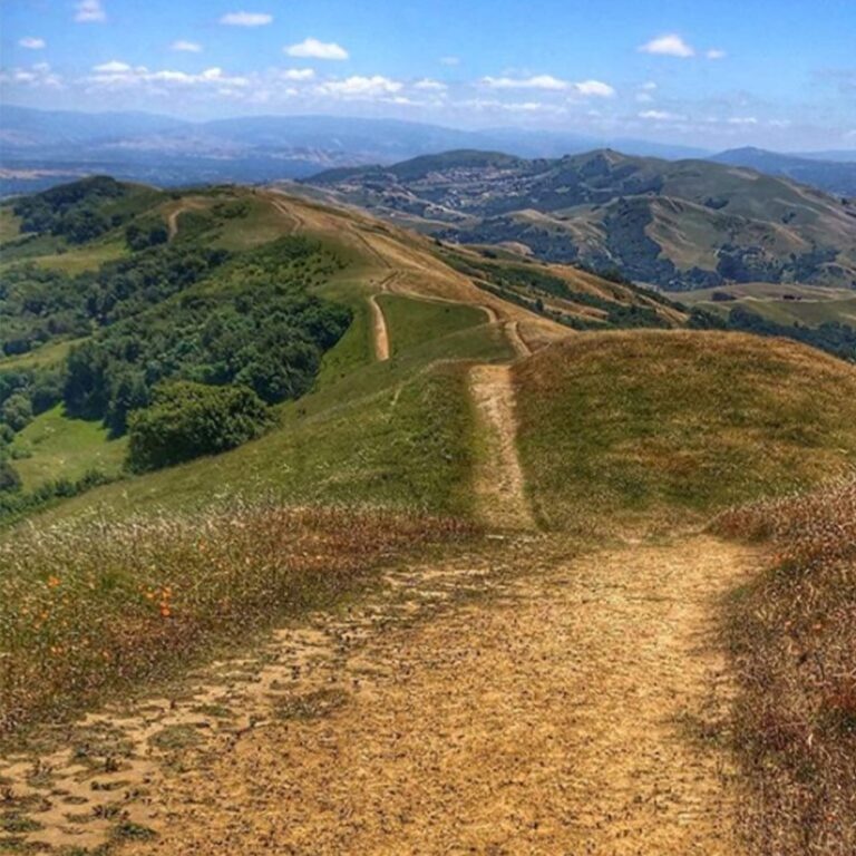 Trails.jpg