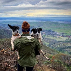 Mt. Diablo Summit, Danville, CA PC: @gingersnap0318_ocr