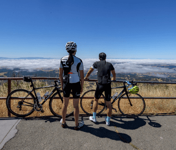 Mt. Diablo Summit Views in Danville, CA