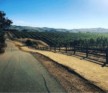 Sycamore Grove Park Trail